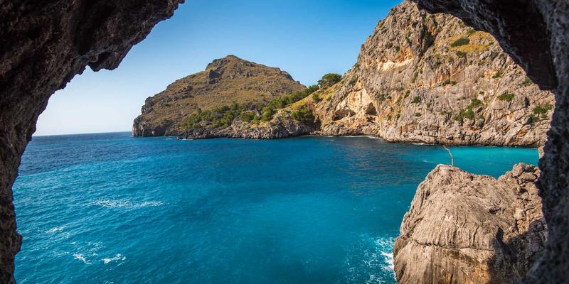 阳台变身可食花园：从装饰到收获的都市农耕美学